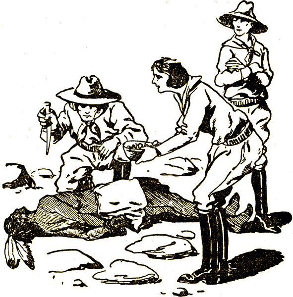 Illustration