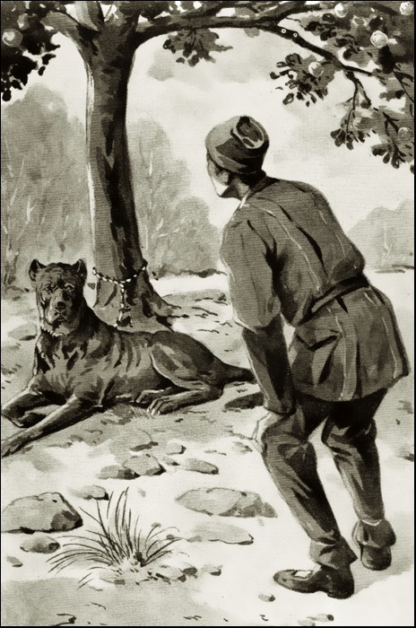 Illustration