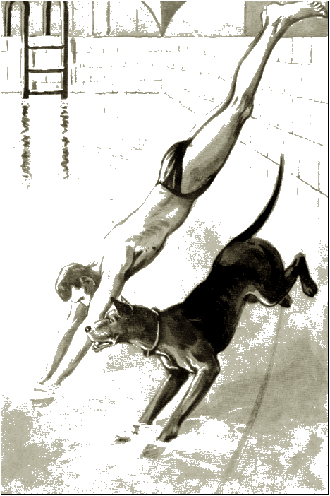 Illustration