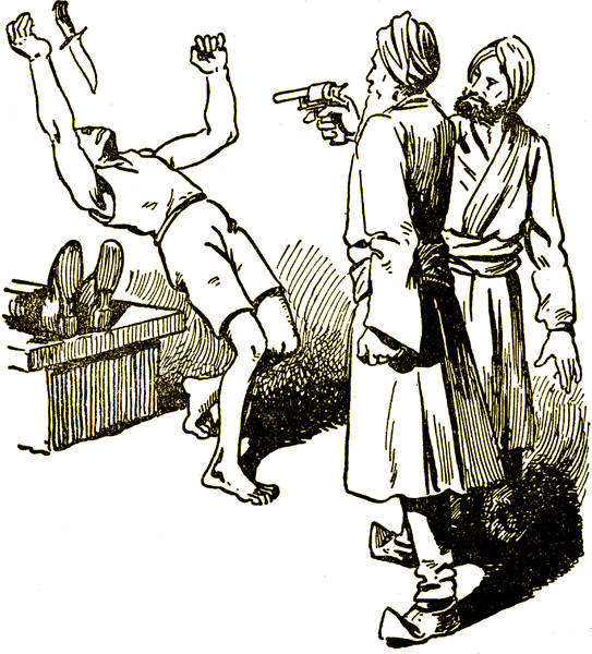 Illustration