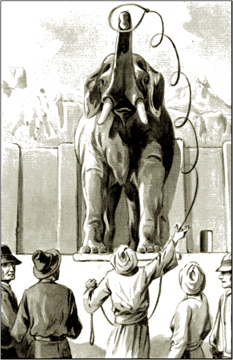 Illustration