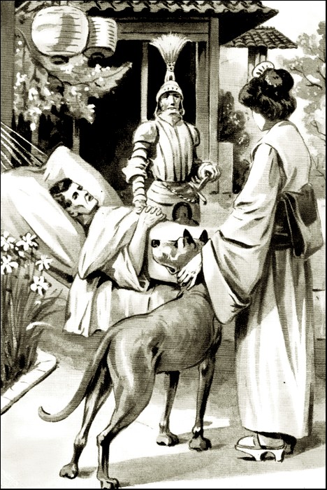 Illustration