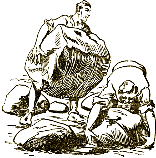 Illustration