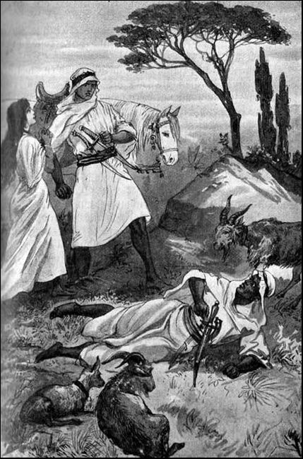 Illustration