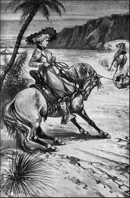 Illustration