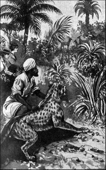 Illustration