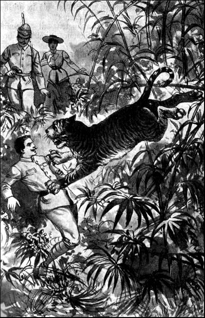 Illustration