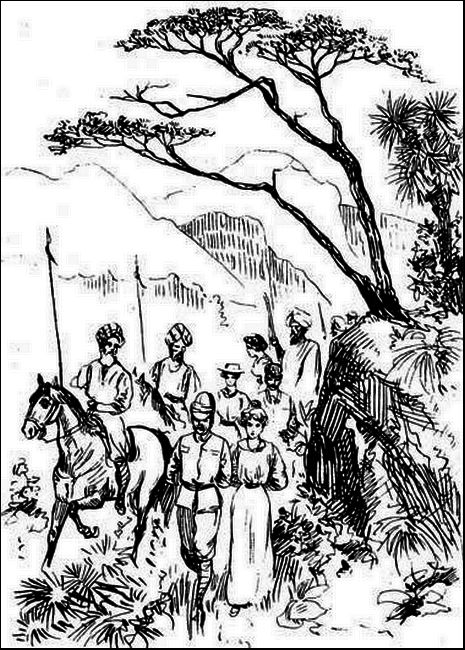 Illustration