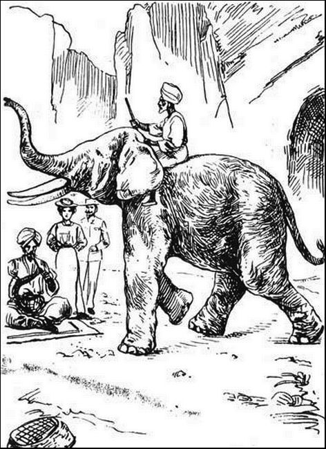 Illustration