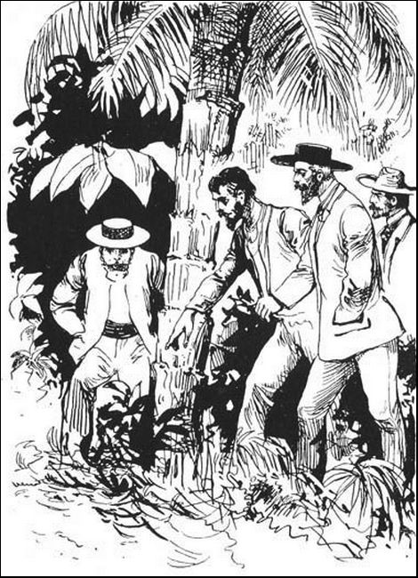 Illustration