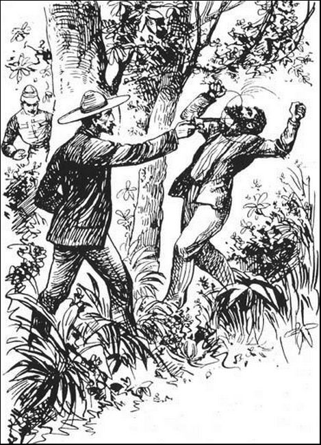 Illustration