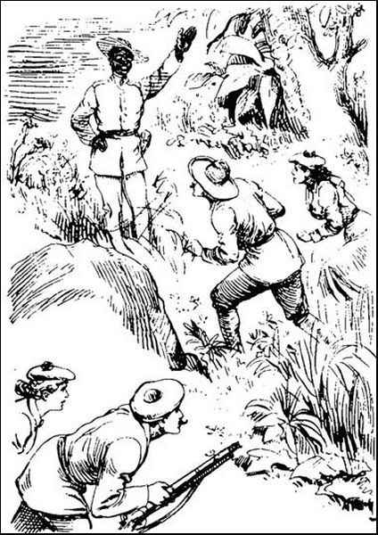 Illustration
