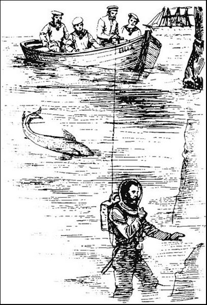 Illustration
