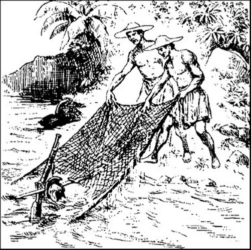 Illustration