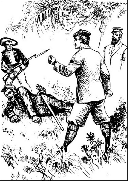 Illustration