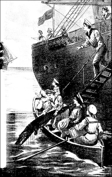 Illustration