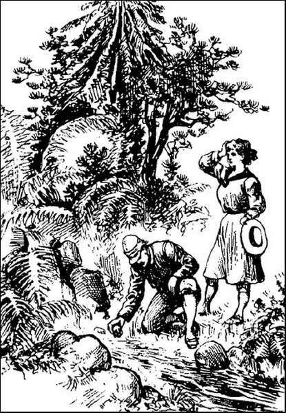 Illustration