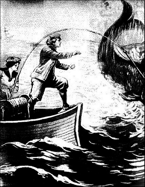 Illustration