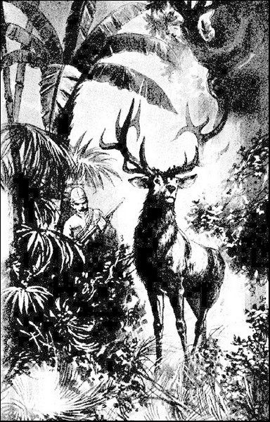 Illustration