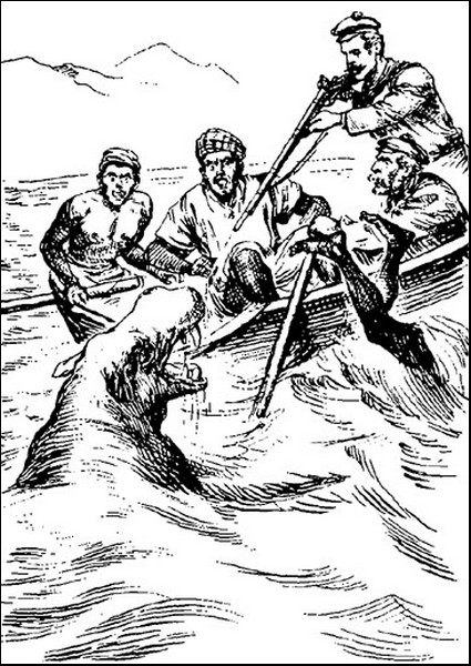 Illustration