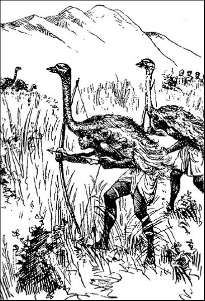 Illustration