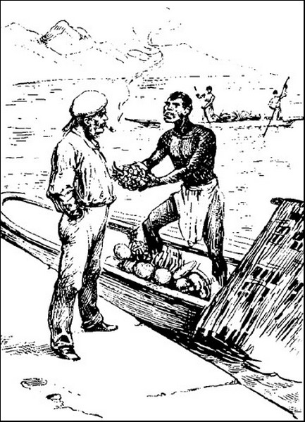 Illustration
