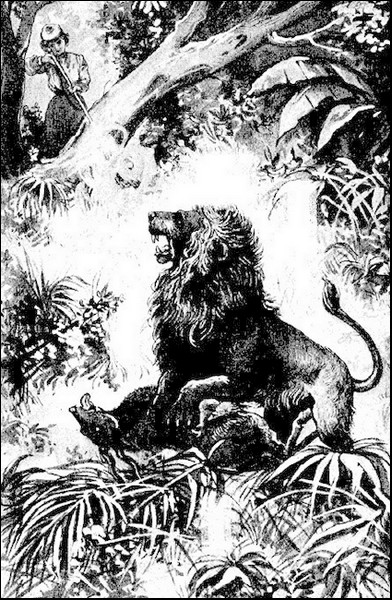 Illustration