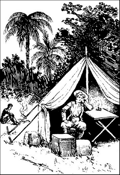 Illustration