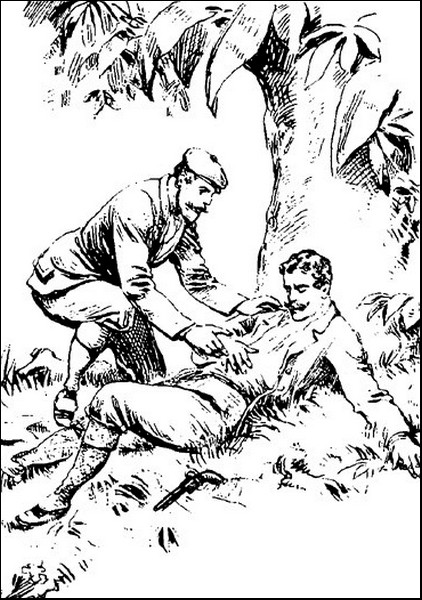 Illustration
