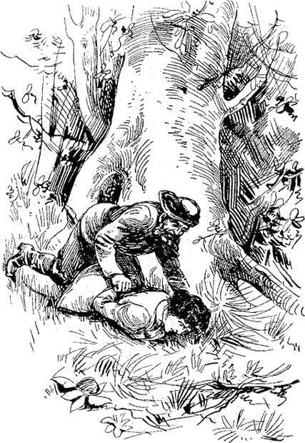 Illustration