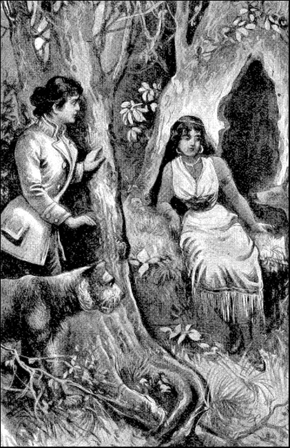 Illustration