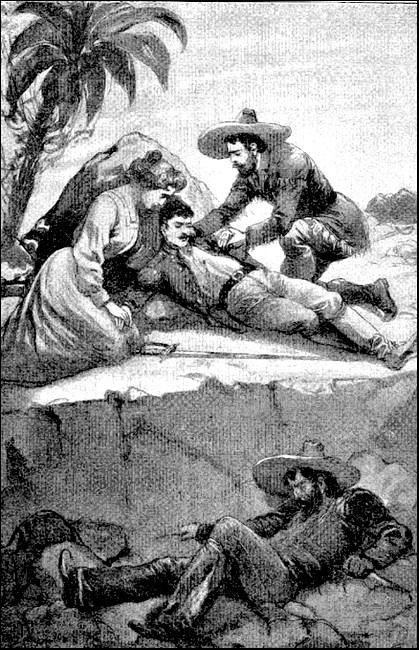 Illustration