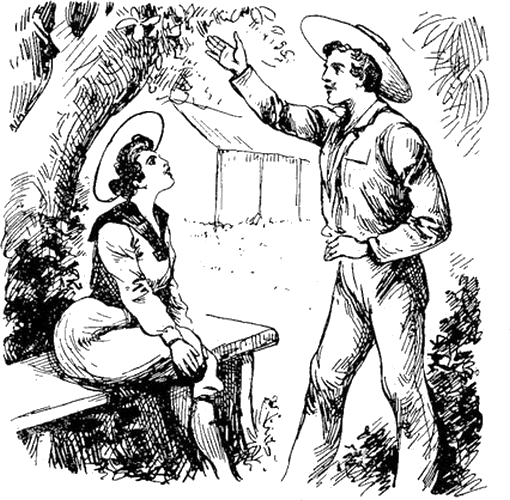 Illustration