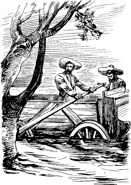 Illustration