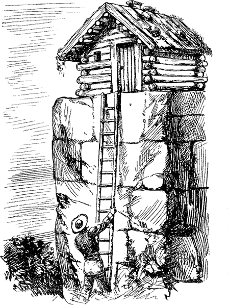 Illustration