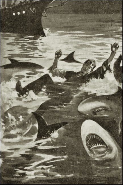 Illustration