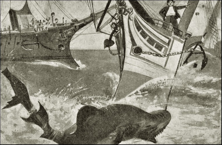 Illustration