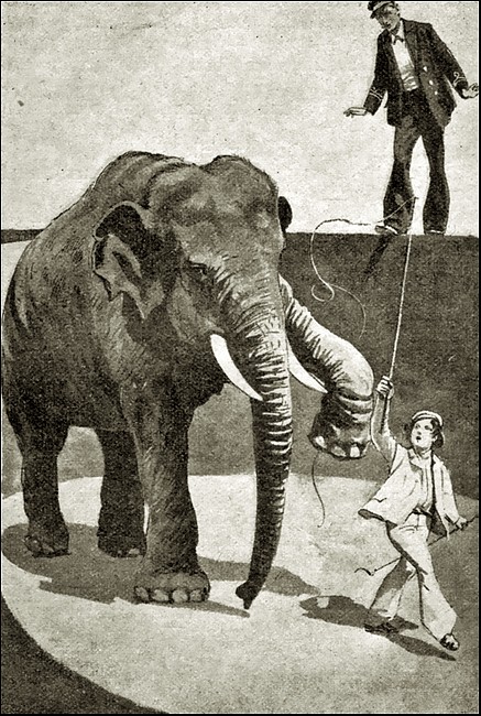 Illustration