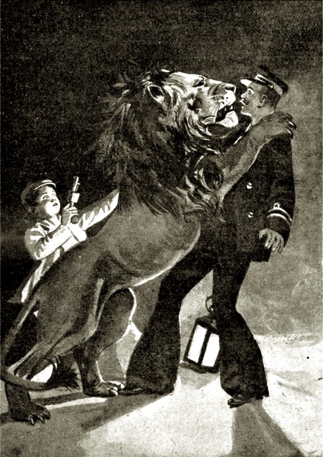Illustration