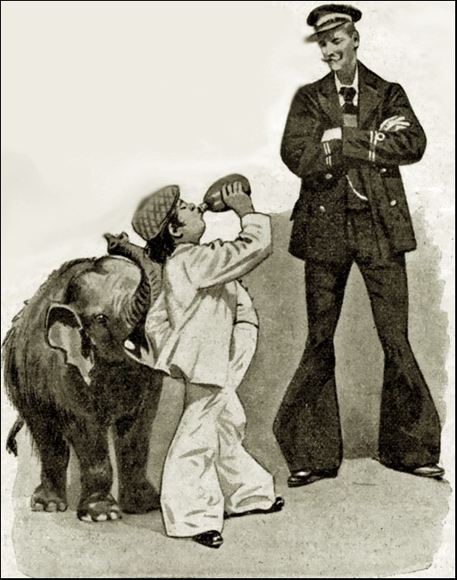 Illustration