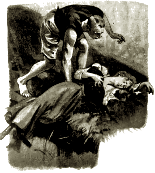 Illustration