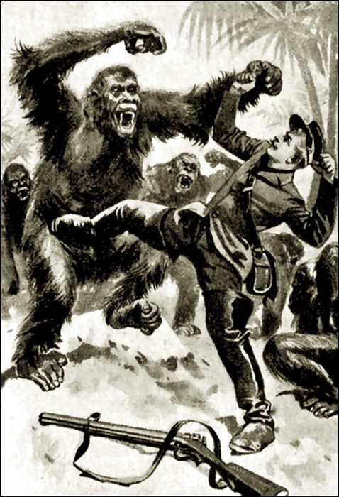 Illustration