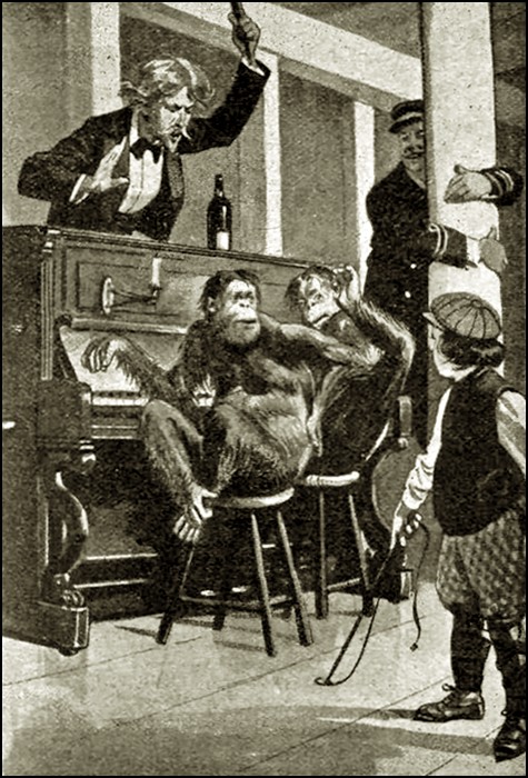 Illustration