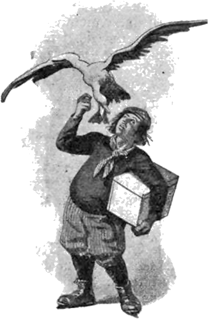 Illustration
