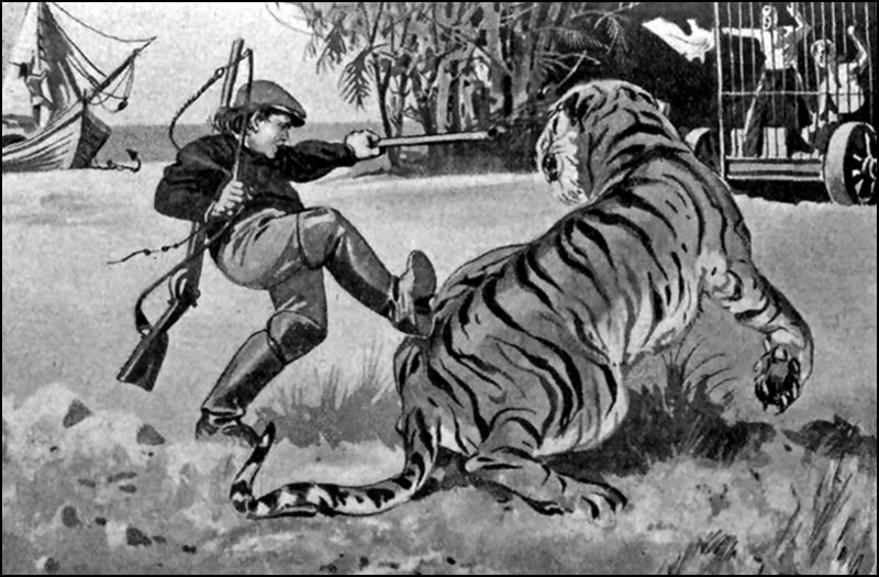 Illustration