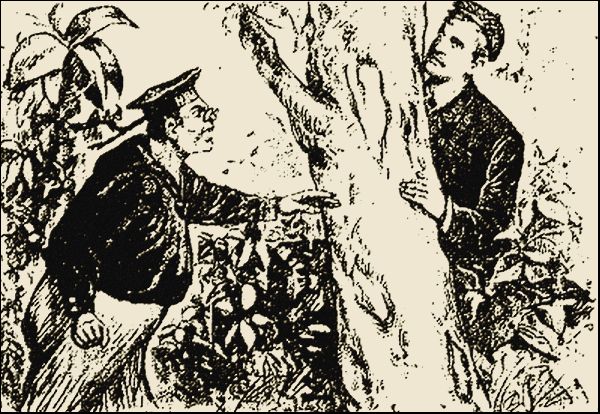 Illustration