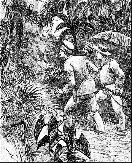 Illustration