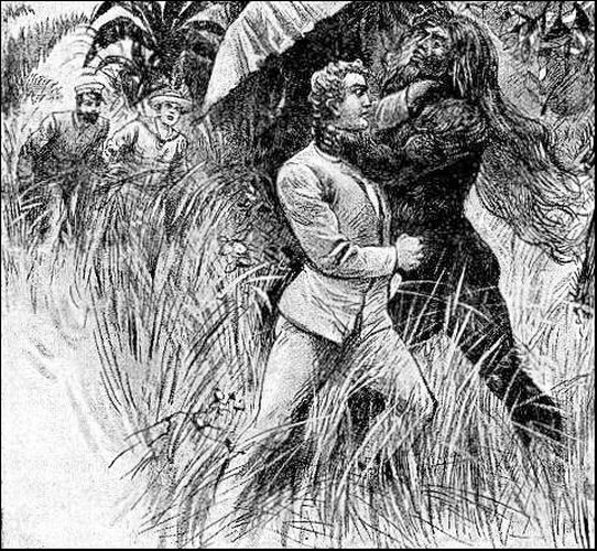 Illustration