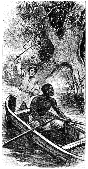 Illustration