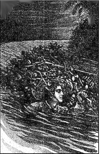 Illustration